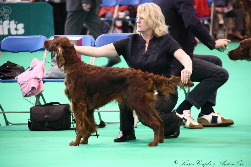 Crufts2011 255.jpg